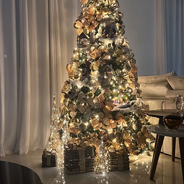 locação de árvore de Natal + lar deco