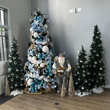 locação de árvore de Natal + lar deco