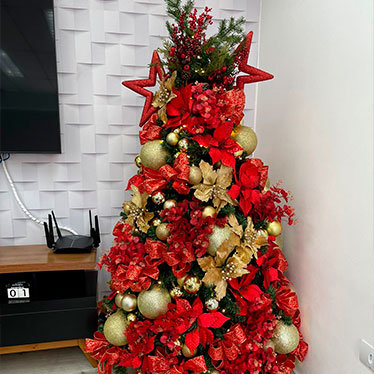 locação de árvore de Natal + lar deco