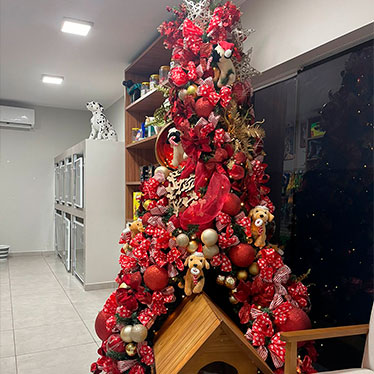 locação de árvore de Natal + lar deco