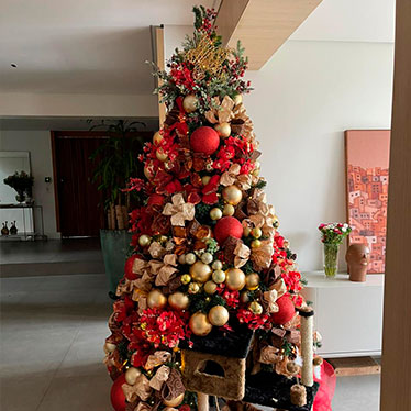 locação de árvore de Natal + lar deco