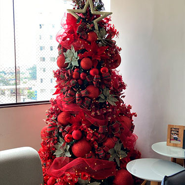 locação de árvore de Natal + lar deco